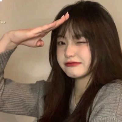 成都网站SEO优化公司